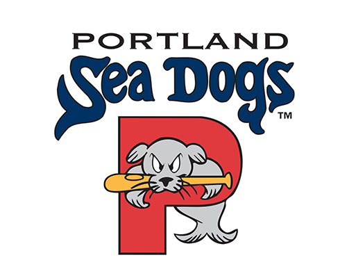 IT consultant client - portland sea dogs logo 500x400